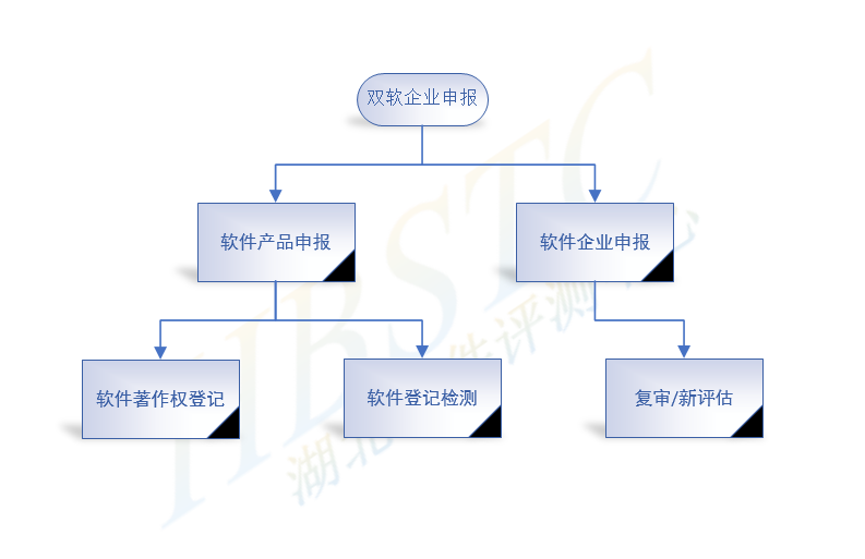 雙軟申報流程